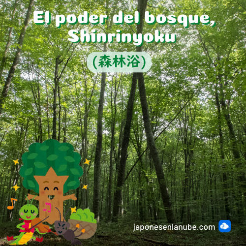 El poder del bosque, Shinrinyoku (森林浴) Japonés en la Nube Aprende